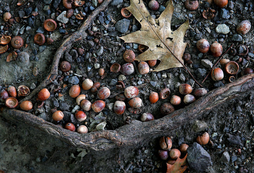 Ancient wisdom for our times from&nbsp;Boethius